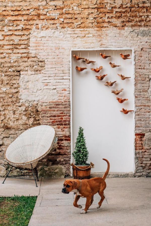 Hotel Tabaa Oaxaca 外观 照片